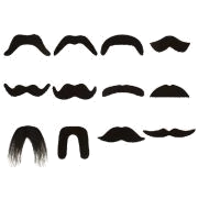 Fake Moustache