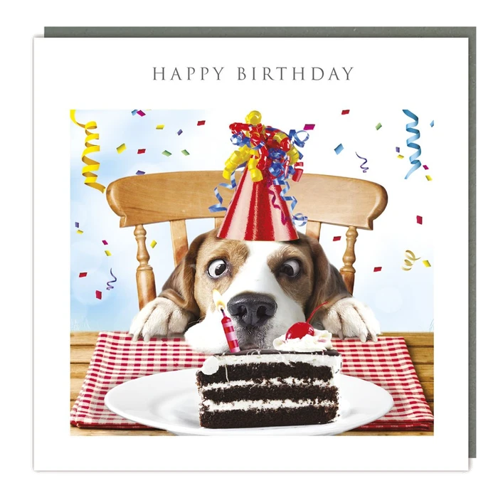 Light Hearted - Sniff The Cake - Matt