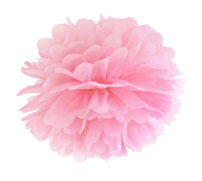25Cm Light Pink Tissue Paper Pom Pom
