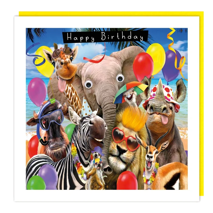 Fluff /Gogglie - Hb - Party Animals!