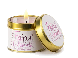 Fairy Wishes