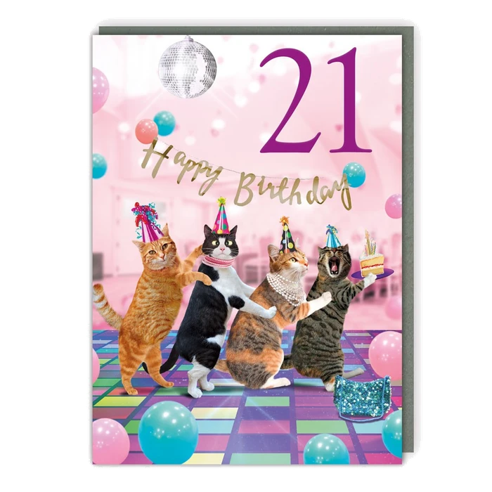 Light Hearted - Hb Age - 21 Cat Conga