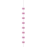 6Pc 5Ft Glitz Pink Happy Birth