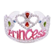 Silver Tiara Pink Princess