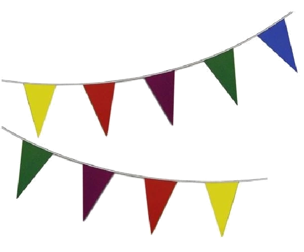 10M Triangular Bunting