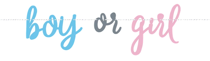 7Ft Blue Or Pink Gender Reveal Banner