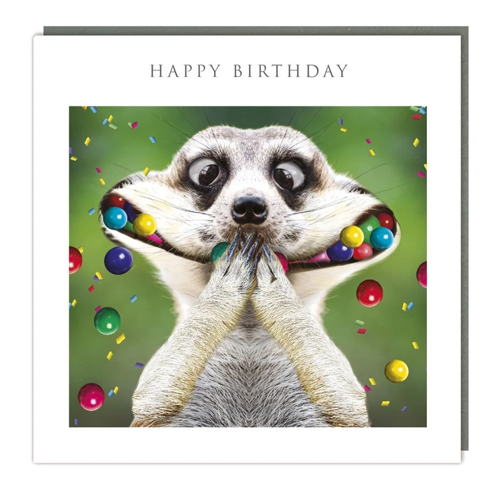 Light Hearted - Birthday - Oooo I Say! - Matt