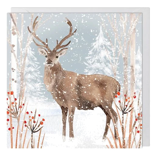 Stag - 1