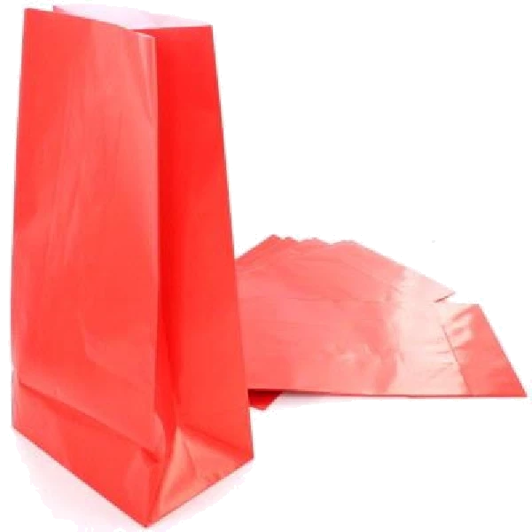 (12) Ruby Red Paper Bags