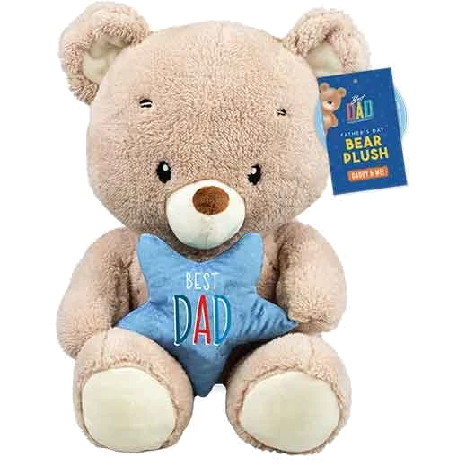 FATHERS DAY DADDY AND MINI ME PLUSH BEAR