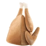 Adult Turkey Hat