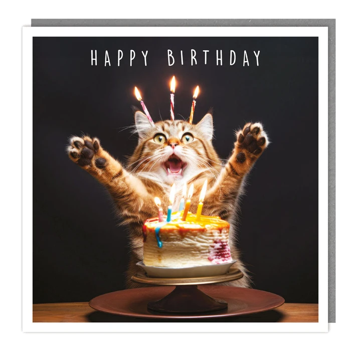 Light Hearted - Blank - Candle Kittie