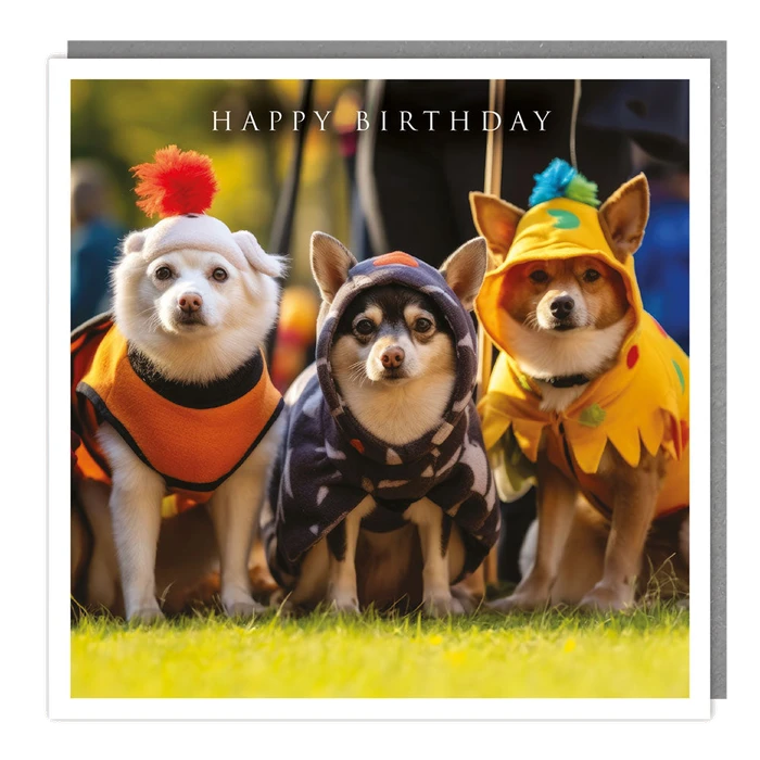 Light Hearted - Blank - Three Dressed Hounds