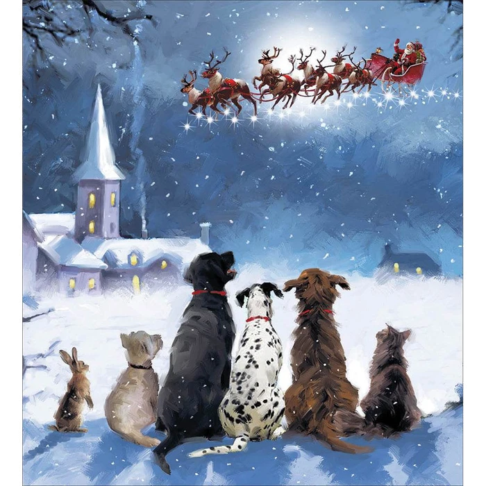 Charity Christmas Cards Woodmansterne