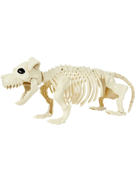 Dog Skeleton Prop
