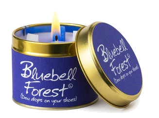 Bluebell Forest