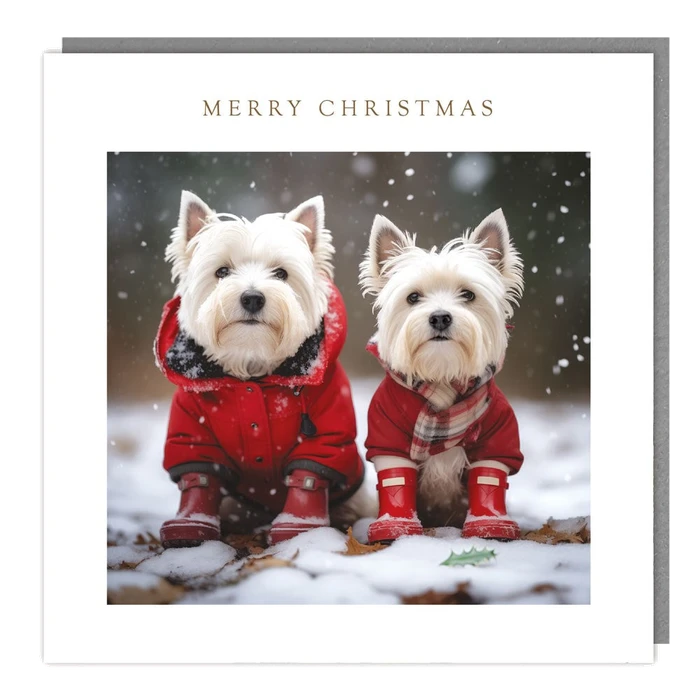 Pack Of 5 - Dressed Westies - 140X140 - Foil - Mc