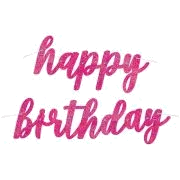 2Pc Glitz Pink Birthday Jointed Banner
