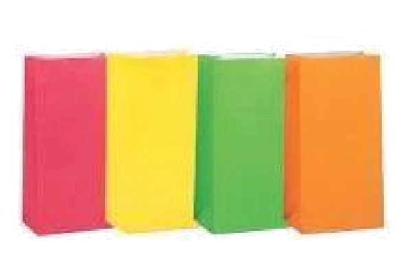 (10) Asst Neon Paper Bags