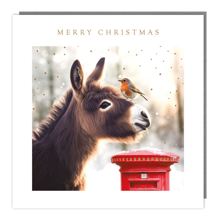 Pack Of 5 - Donkey & Robin At Postbox - 140X140 - Foil - Rt