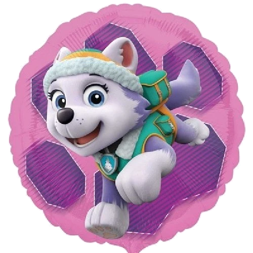 Paw Patrol Skye & Everest 18In Foil