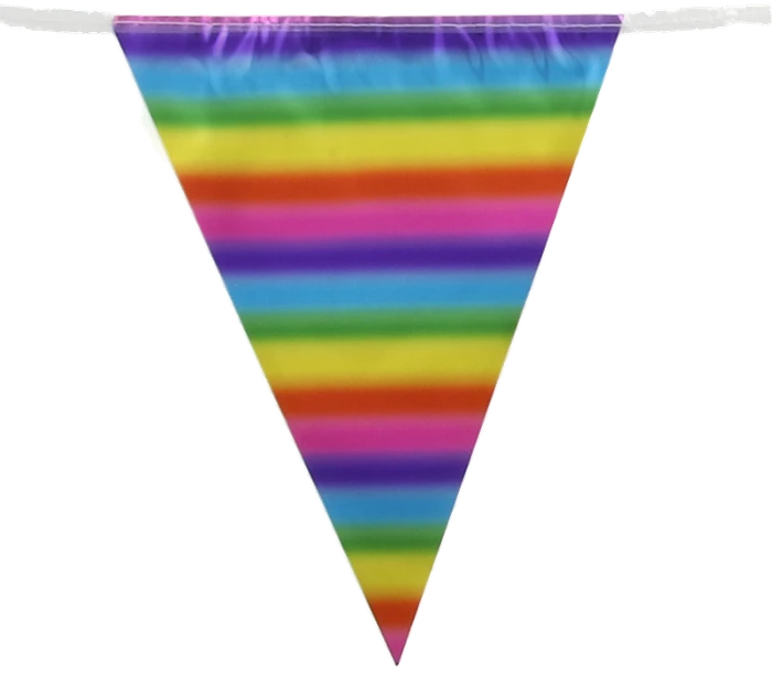 3.9M Metallic Rainbow Bunting