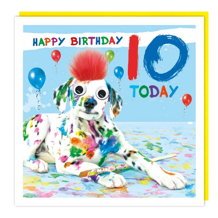 Fluff - 10th - Painted Dog
