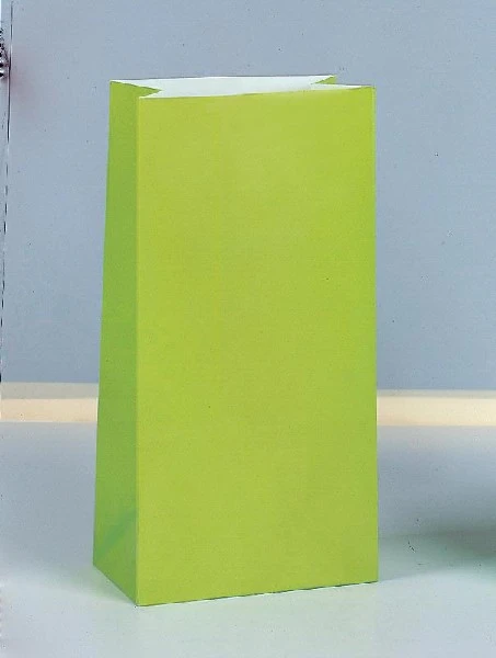 (12) Paper Party Bags Lime Green