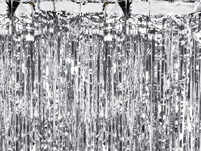 Silver Party Curtain