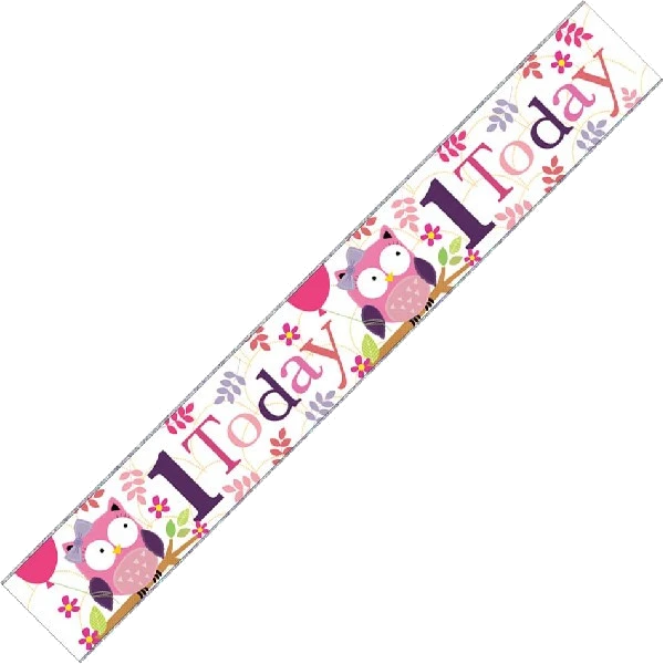 AGE 1 GIRL 9FT WALL BANNER