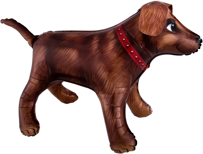Golden Dog U/Shape
