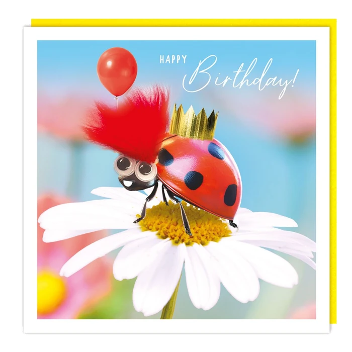 Fluff Ladybird