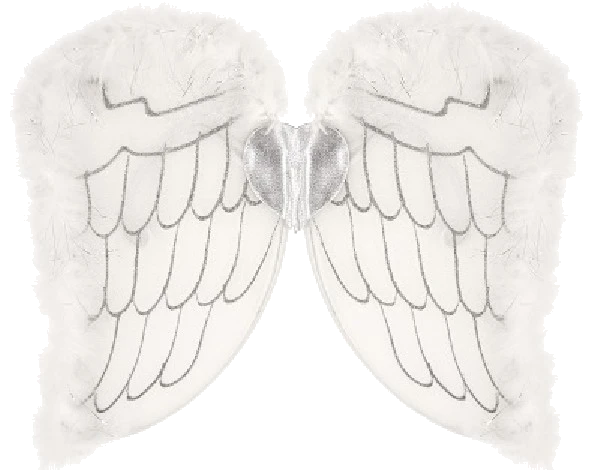 Child Angel Wings