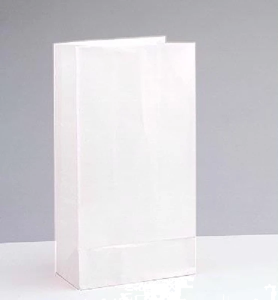 (12) Paper White Bags