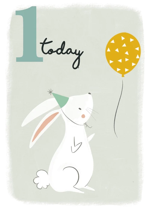 1 Bunny
