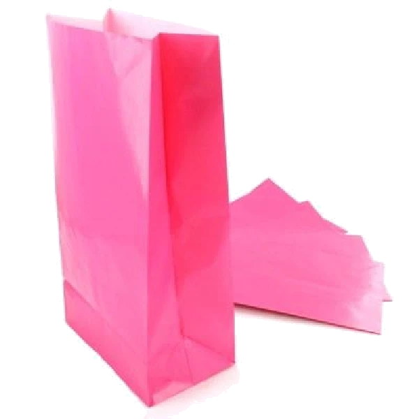 (12) Hot Pink Party Bags
