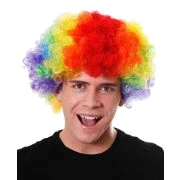 Rainbow Adult Clown Wig