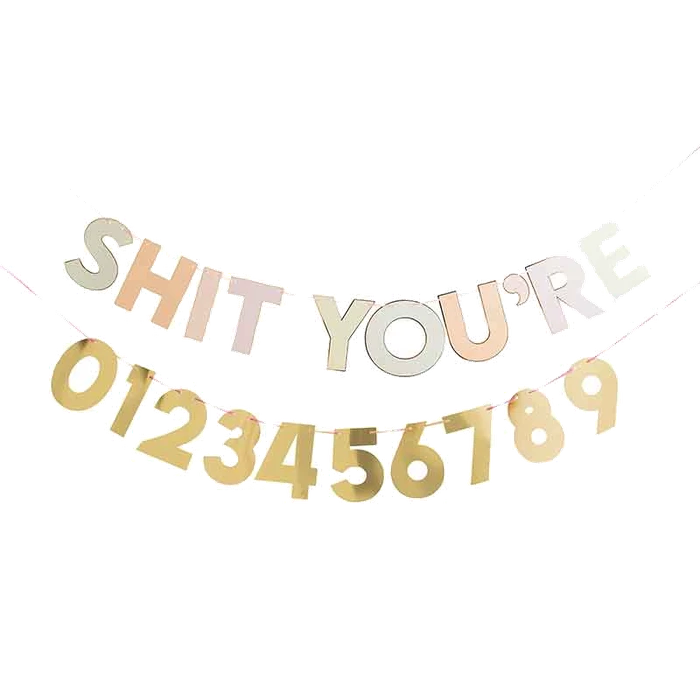 2M Milestone Sh*T YouRe Any Age Card Banner