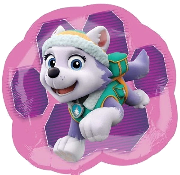 Pawpatrol Skye & Everest S/Shape