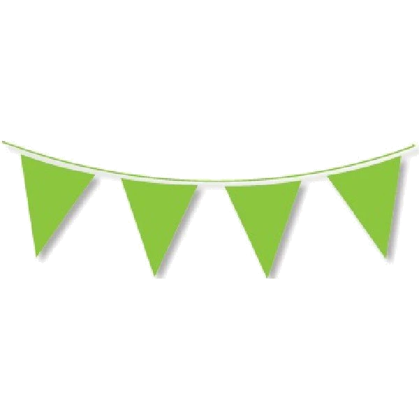10M Regular Green Bunting