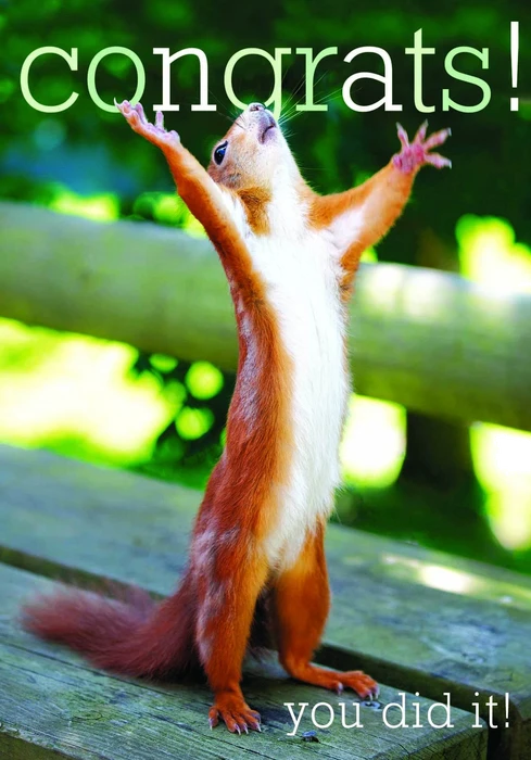 Congrats Squirrel