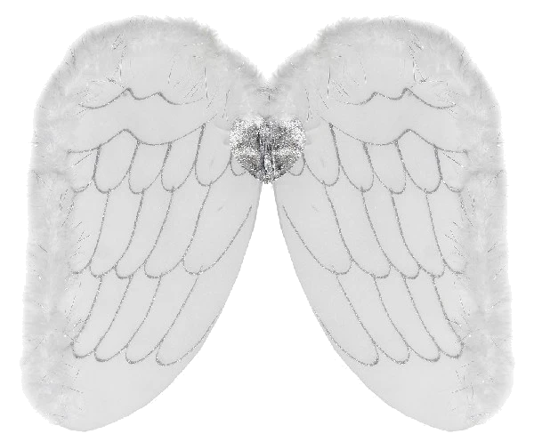 50X28Cm Adult Angel Wings