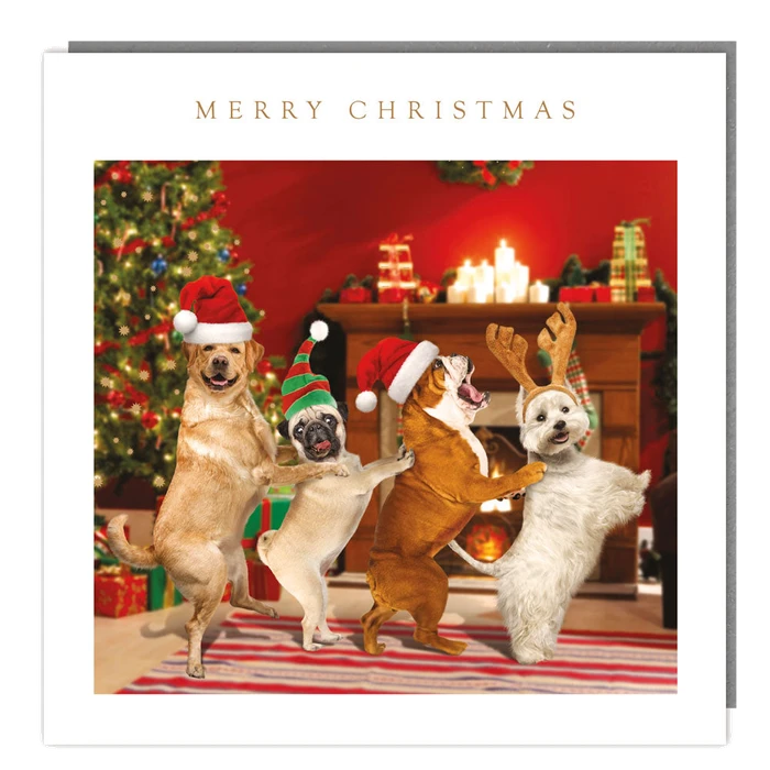 Pack Of 5 - Christmas Dog Conga - 140X140 - Foil - Rt