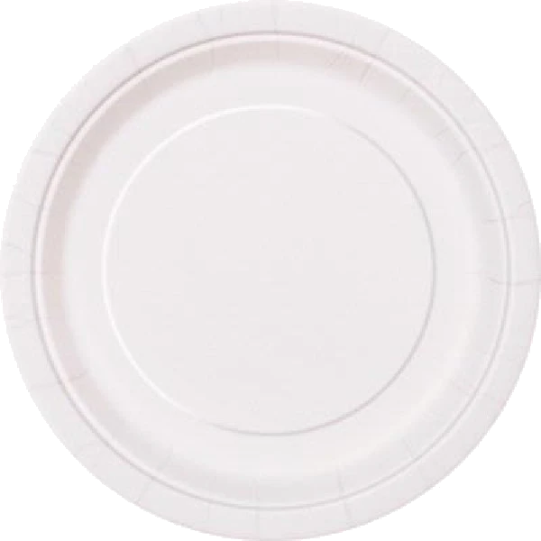 16PK 9IN BRIGHT WHITE PLATES