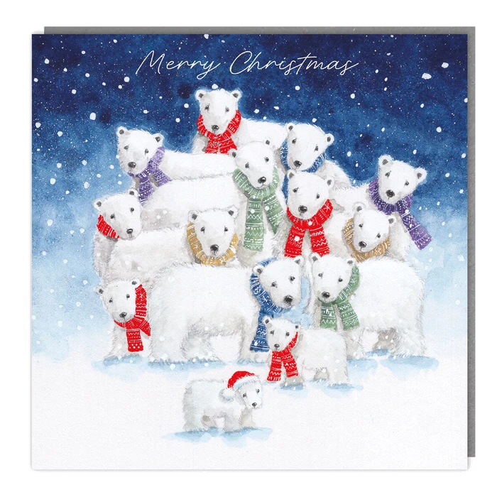 P bears cards 5pk