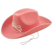 ADULT PINK COWBOY HAT W/TIARA