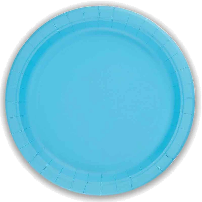 8Pk 23Cm Light Blue Paper Pl