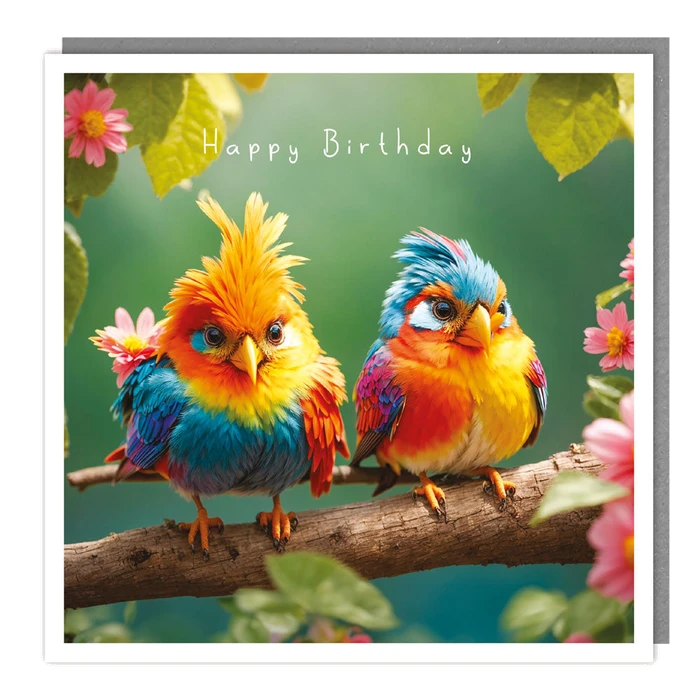 Light Hearted - Hb - Two Colourful Birds