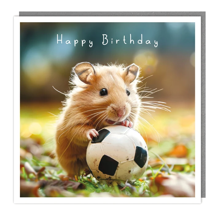 Light Hearted - Blank - Hamster Football