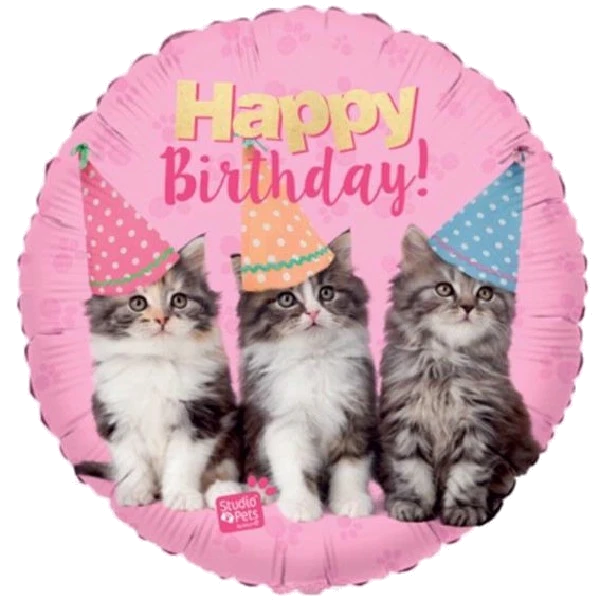 18IN B/DAY KITTENS FOIL BALLOON